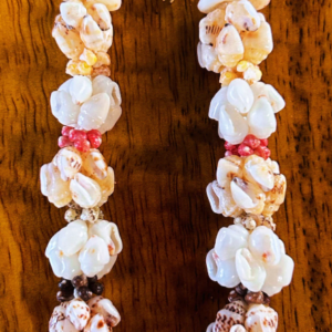 Niihau Shell Earrings
